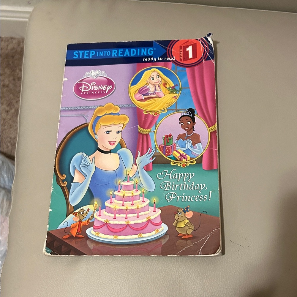 Disney Princess Reading Book with Pink and Blue Cover